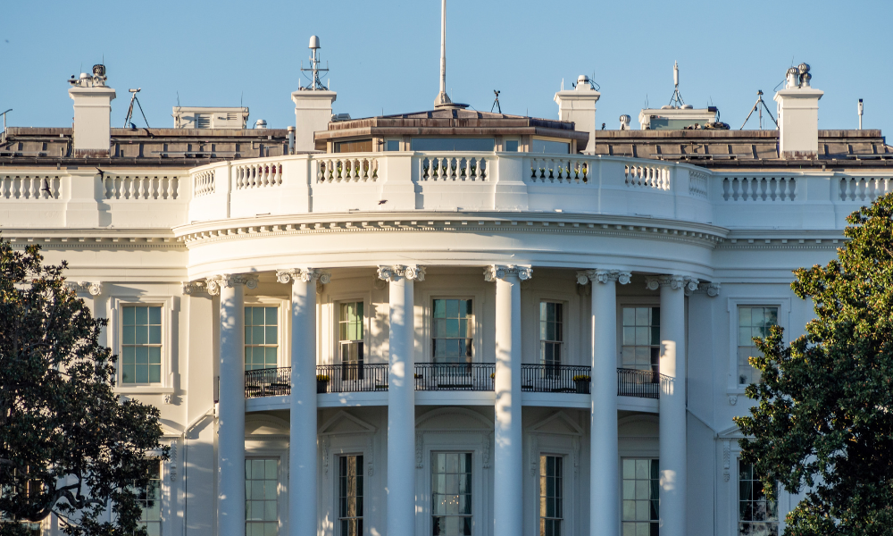 Trump aims to win majority on Fed board with attempt to oust Lisa Cook