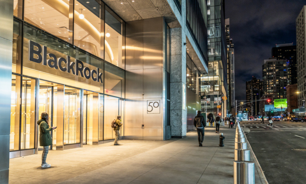 BlackRock believes market can manage earnings downgrades