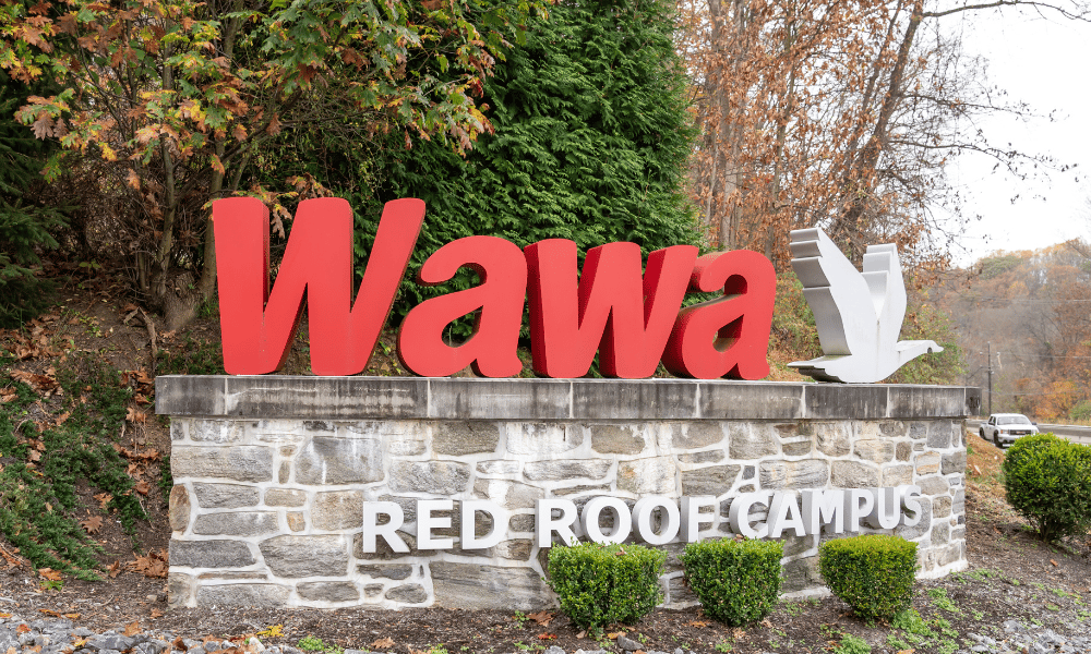 Wawa fired her at 57 after age bias complaints, lawsuit alleges | Human ...