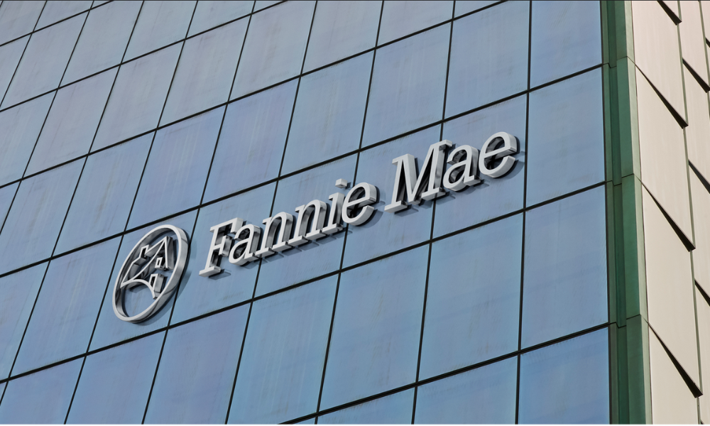 Fannie Mae appoints tech executive to board of directors