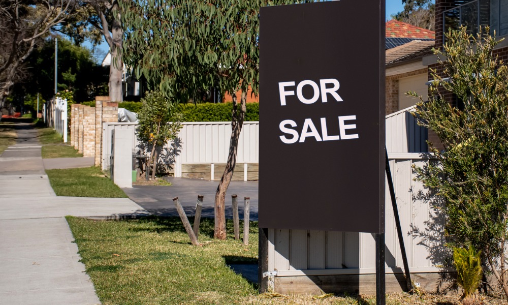 Did pending home sales rise or fall last month?