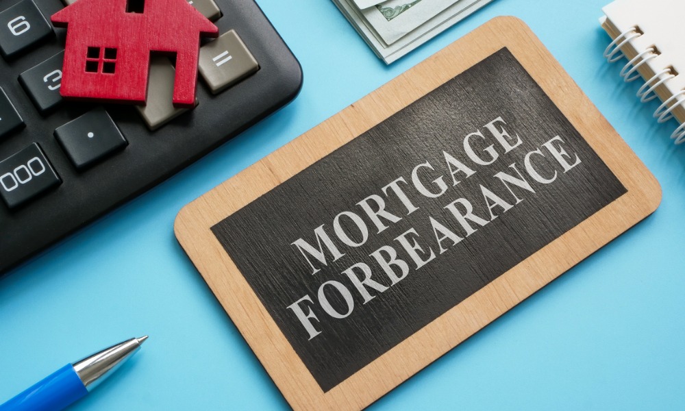 How many mortgage loans are in forbearance?