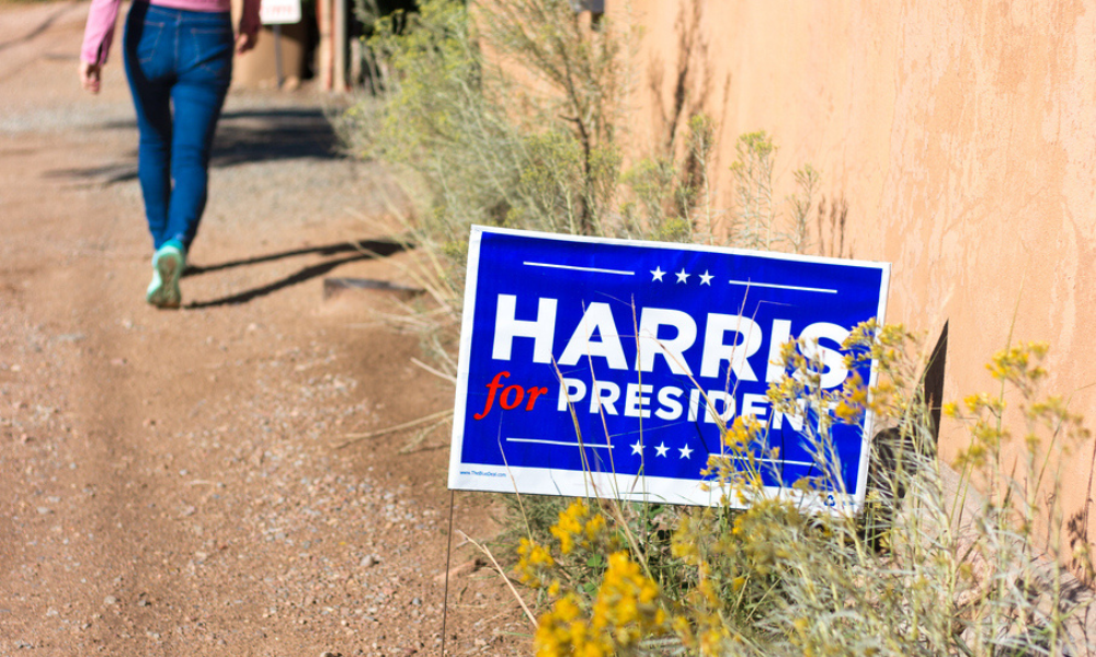 Harris v Trump: Which candidate do real estate investors prefer in presidential race?