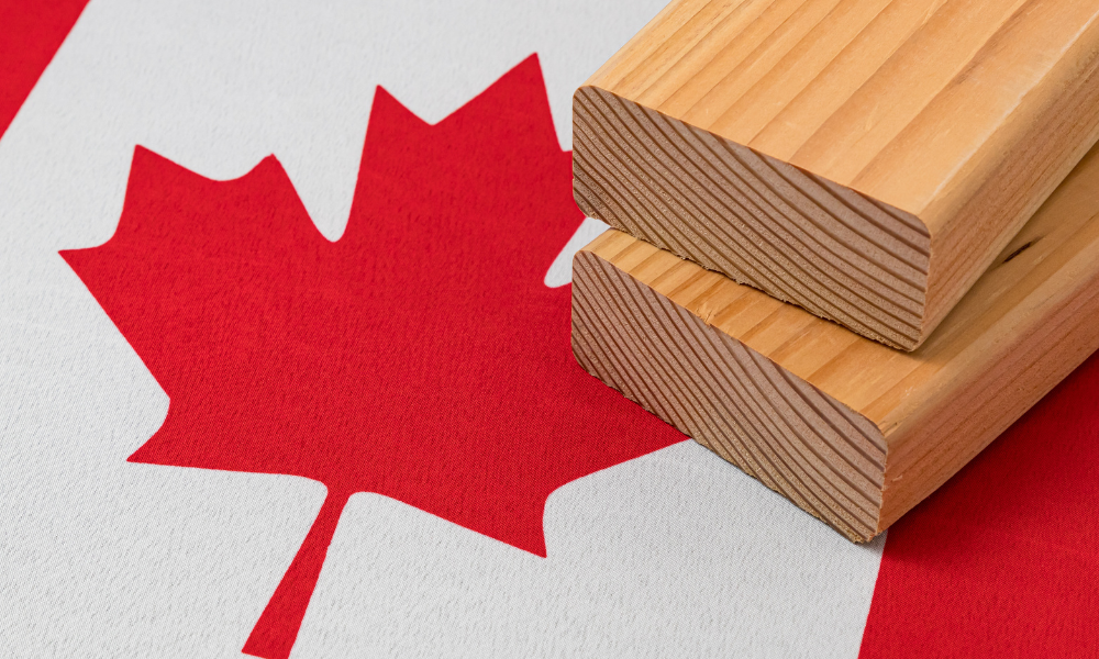 US raises Canadian lumber duties to 34%, potentially spiking homebuilding costs