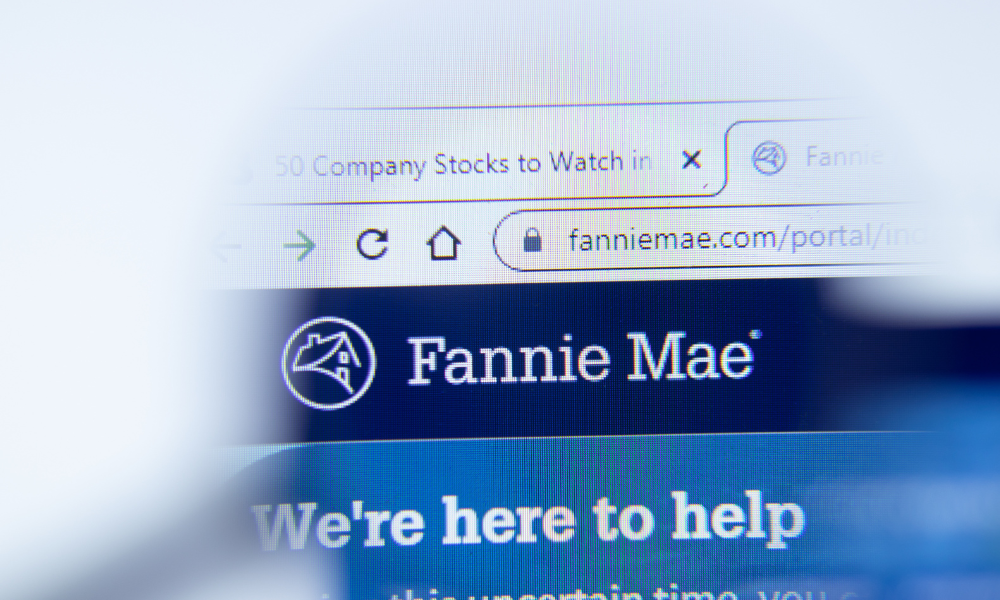 Fannie Mae to sell over $200 million in non-performing loans