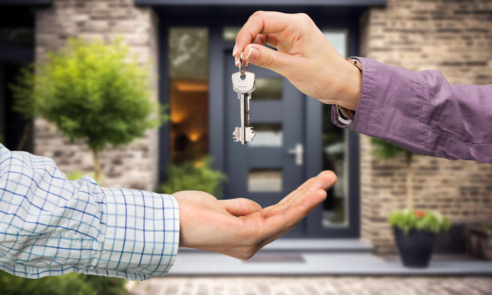 Rates didn't drop, but confidence rose: Amorette Hernandez on a shift in buyer mindset