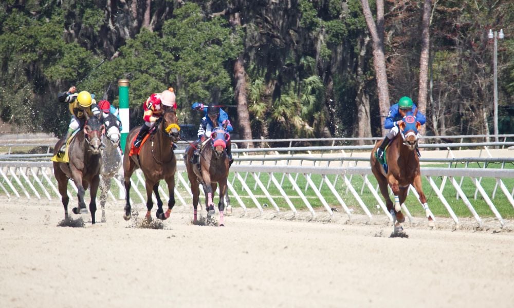 AFR to host housing market discussion at Tampa Bay Downs