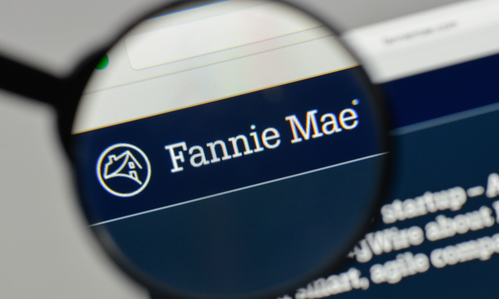 Fannie Mae reports full-year financials