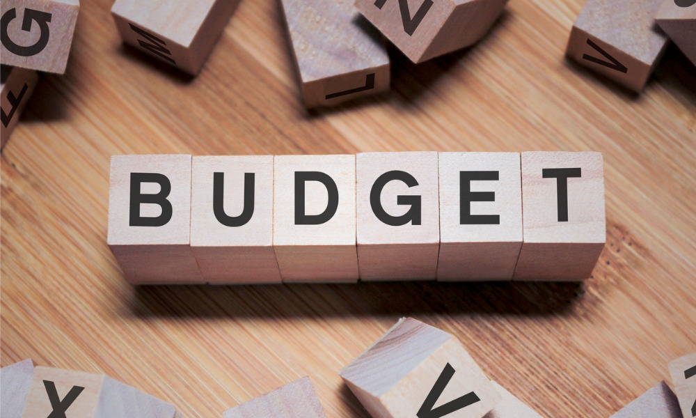 Affordability issues on the table in upcoming federal budget