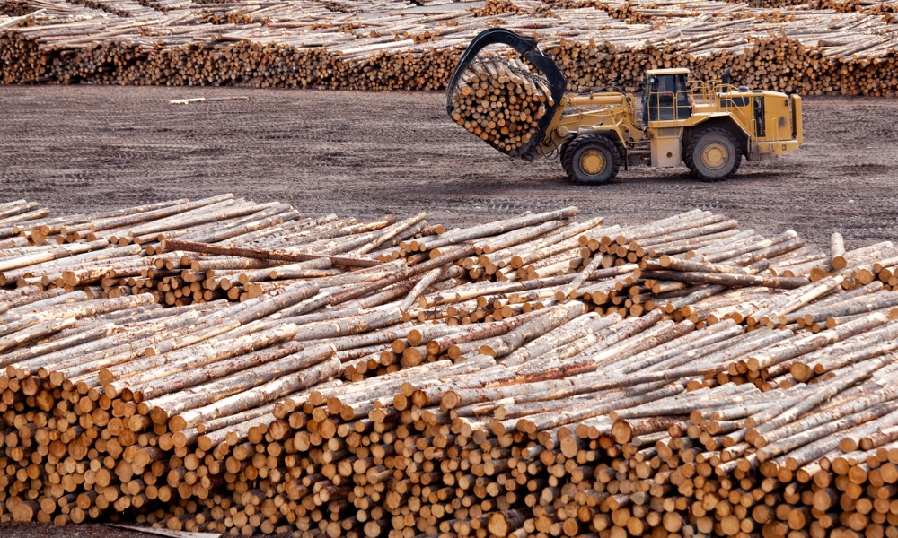 Is another lumber crisis looming?