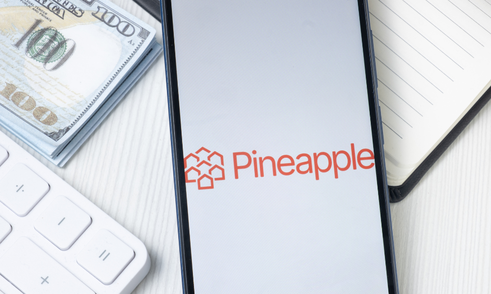 Pineapple Financial sells $1m in common shares