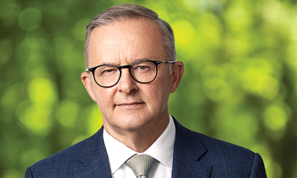 Albanese: Immigration not to blame for housing crisis