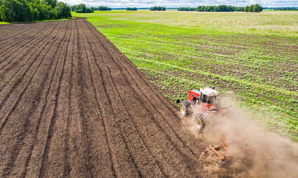 Australian farmers regain optimism after market rebound