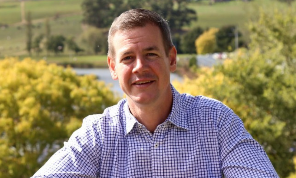 Westpac names Fowler head of business and wealth