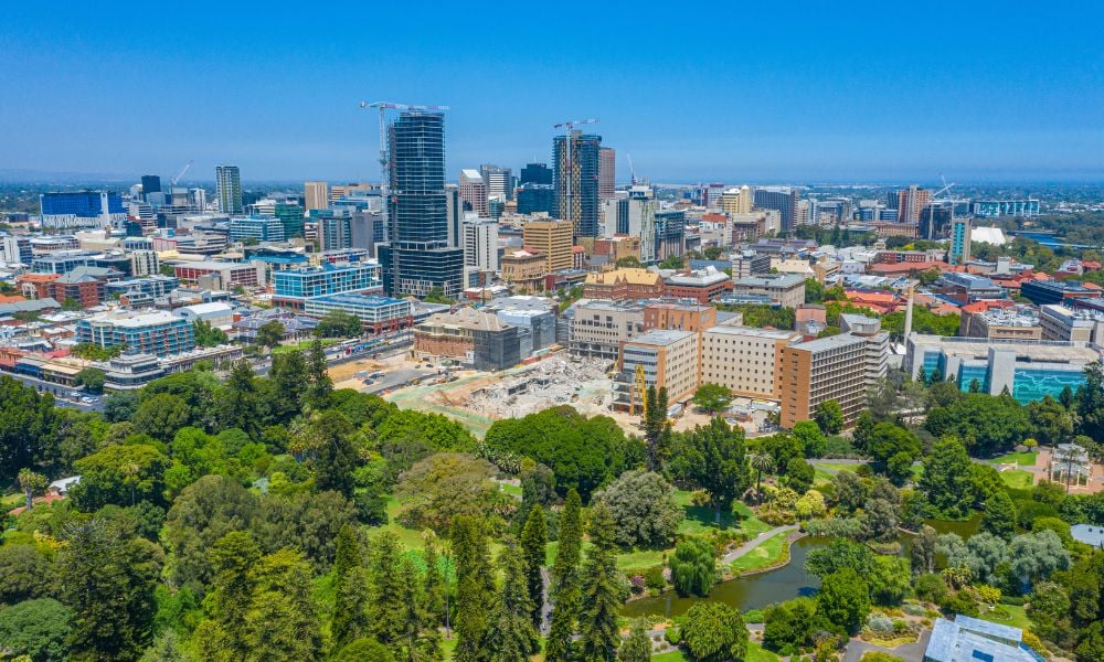 Directors expect brighter economic outlook in 2025