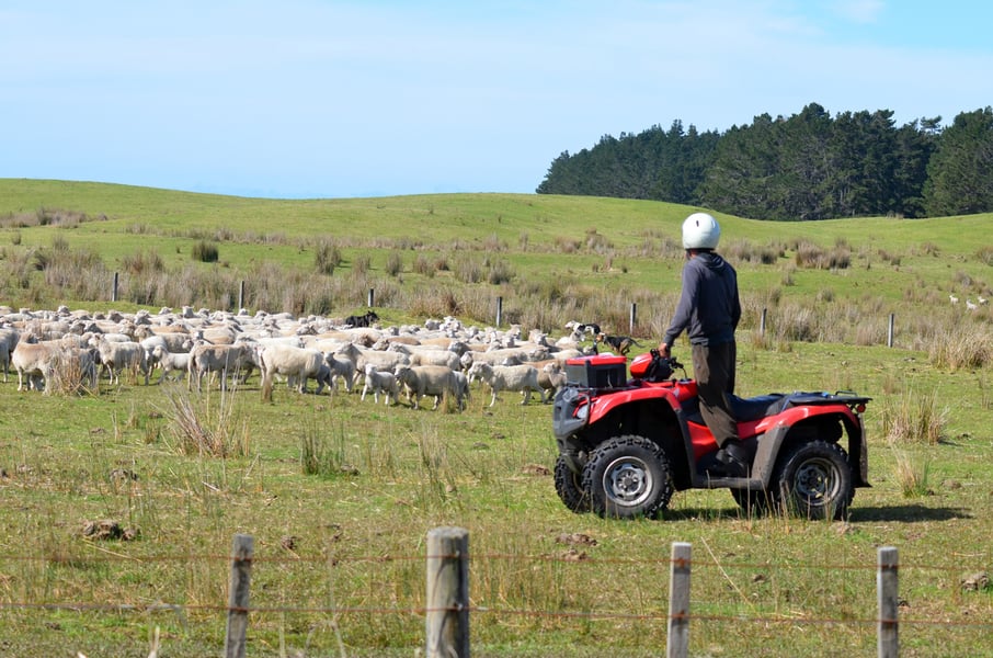 Farmers face growing challenges: RBNZ