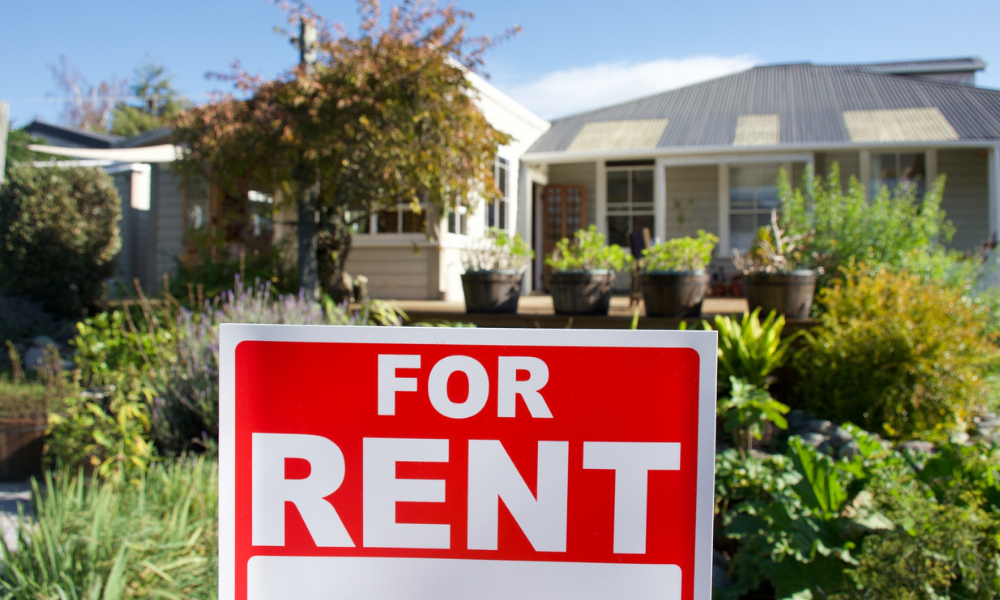 Stats NZ shares the latest changes in the rental property market