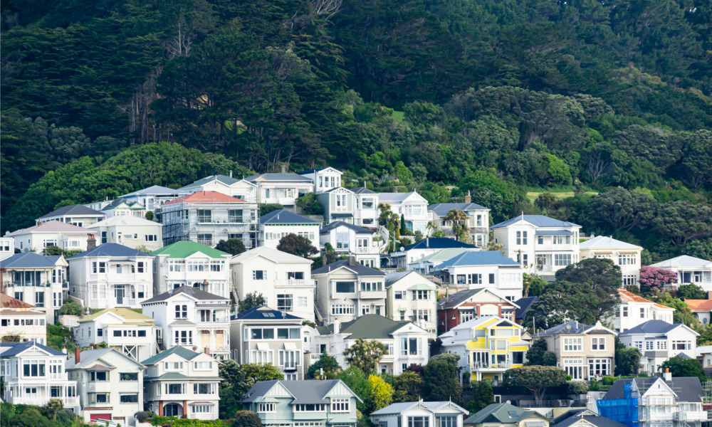 Which are the best residential markets in New Zealand?