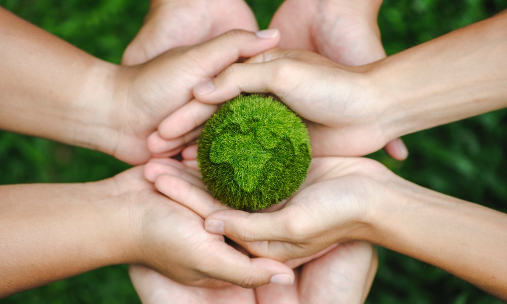 Kiwibank makes good progress on its sustainability goals