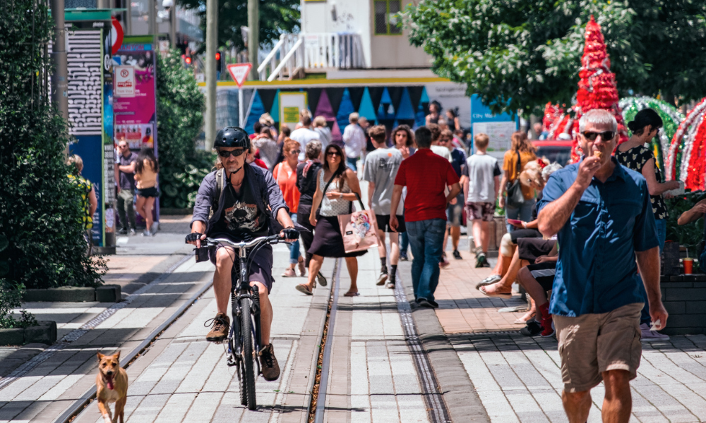 Westpac reveals economic trends across New Zealand