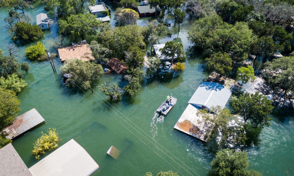 RBNZ reports high-level results of climate survey