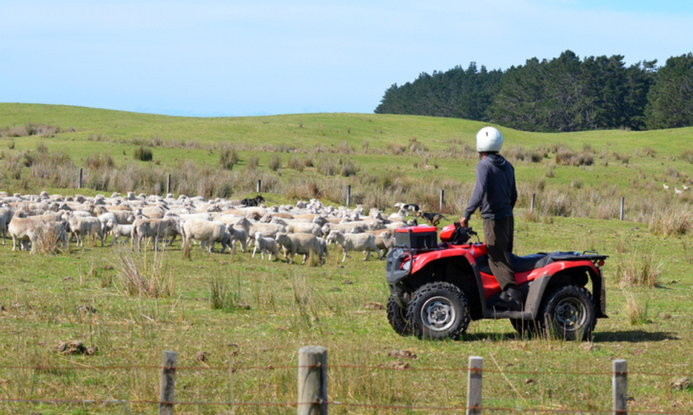 More farmers are feeling pressure from their bank - survey