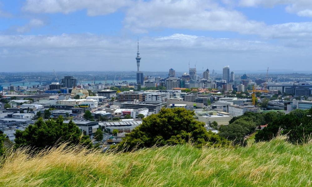 Auckland councillor advocates for fertile land protection