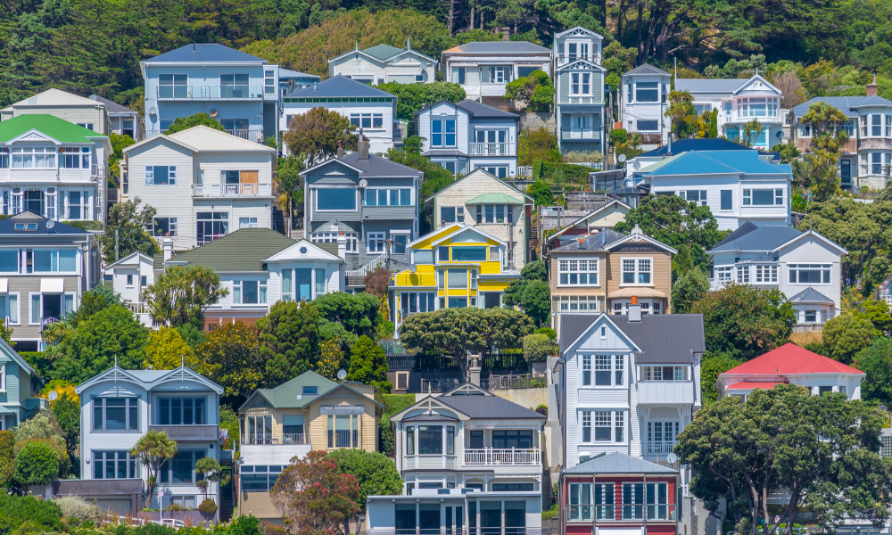 NZ housing market recovery remains muted despite rate cuts