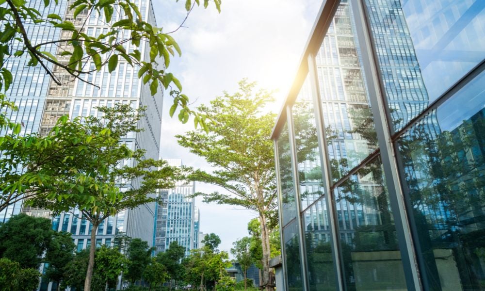 Ethical investing remains strong in NZ despite global pushback