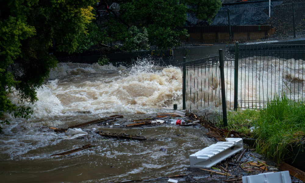 Two years post-flood: Auckland's property risk status