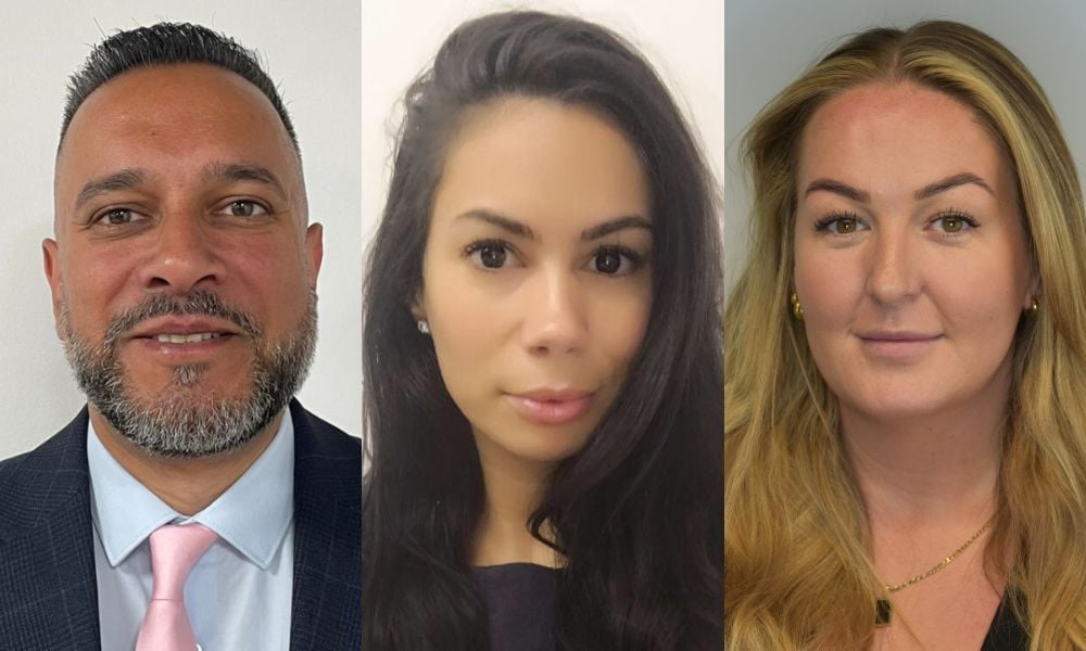 Three firms announce new directors