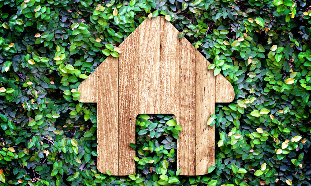 Searches for eco-friendly homes surge as energy bills rise