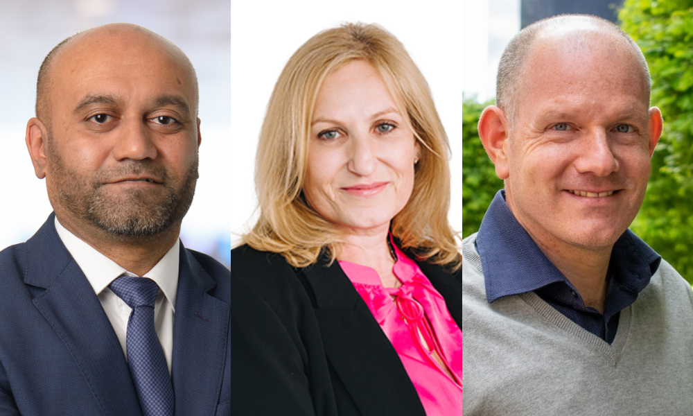 BDLA elects new executive board members