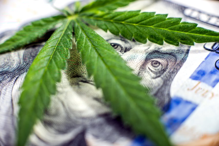 Embracing the highs and lows of cannabis investing