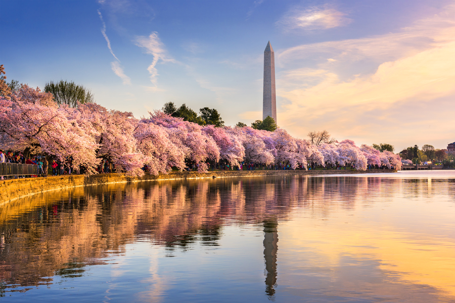 Sweeping retirement legislation is likely coming soon