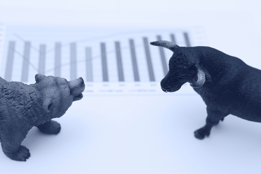How to not get gobbled up when the next bear market arrives