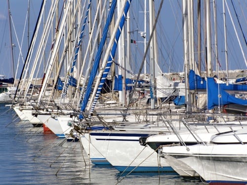 Revealed: Millionaires' top stock and favorite mutual fund