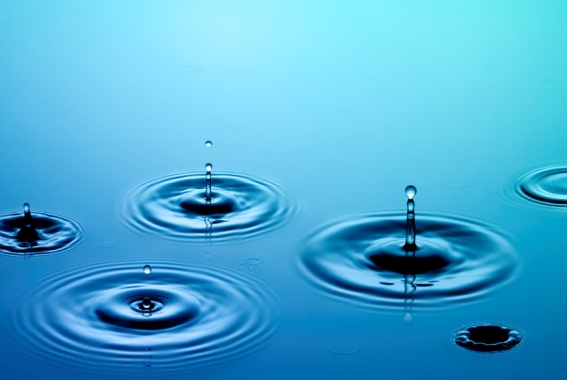 Looking for stable bets in overseas markets? First, check the rainfall totals