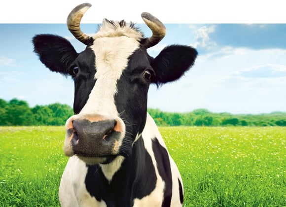 Agro giants horn in on money management biz