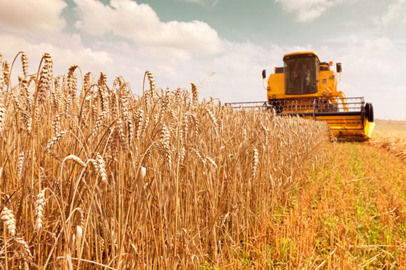 This fund seeks to keep commodities from marching with equities