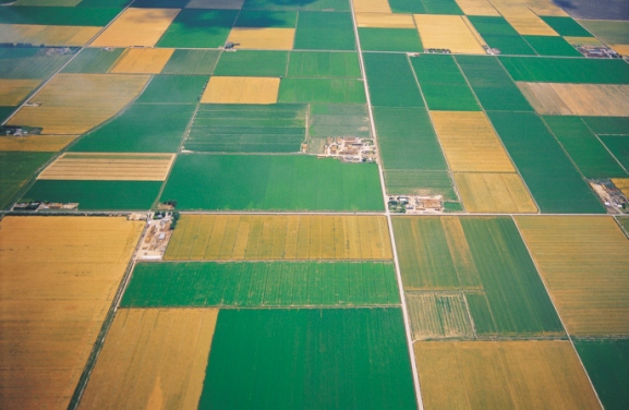 When it comes to risk profiles, don't trust client surveys