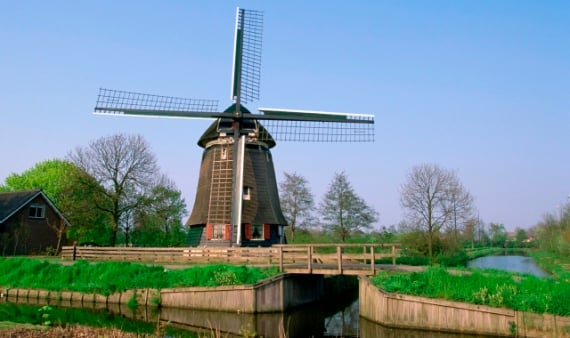 Dutch boy holds his own in prestigious economic contest