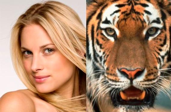 The lady or the tiger? Goldman likes stocks, Morgan Stanley senses danger