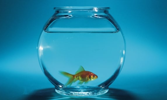 Brand space race threatens smaller RIAs