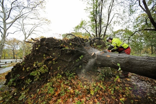 Business 'almost as usual' for advisers — despite Sandy's wallop