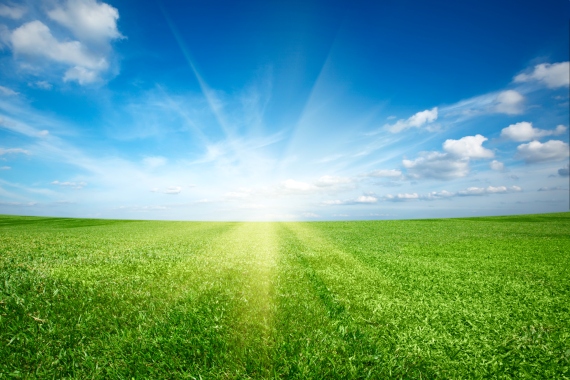 Morningstar shines an ESG light on all mutual funds and ETFs
