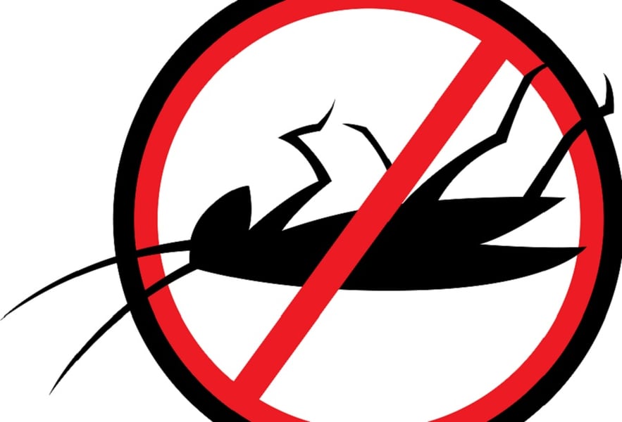 Finra cracks down on 'cockroach' brokers