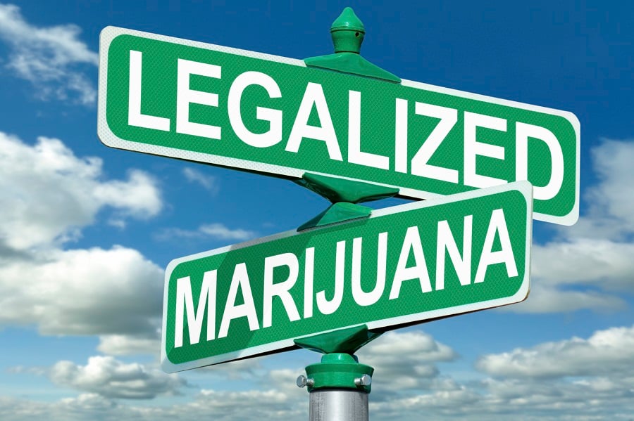Smoking out the right way to invest in the marijuana movement