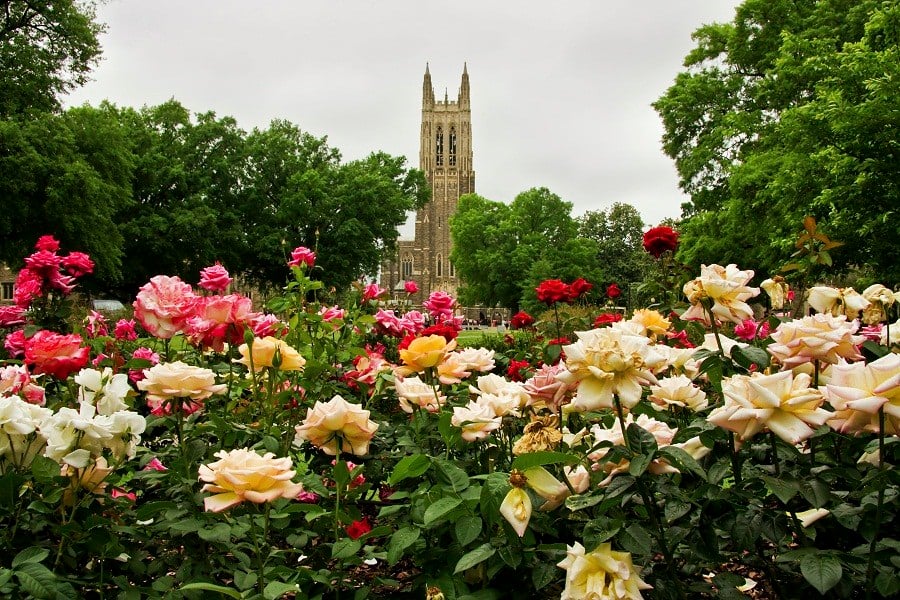 Duke, Johns Hopkins, UPenn and Vanderbilt latest schools under fire for excessive 403(b) fees