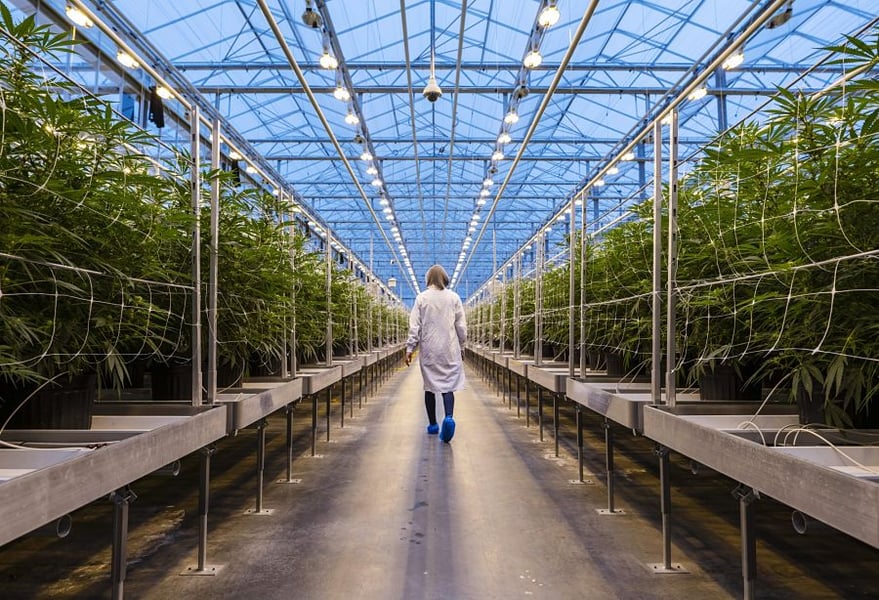 BlackRock invests in pot stock